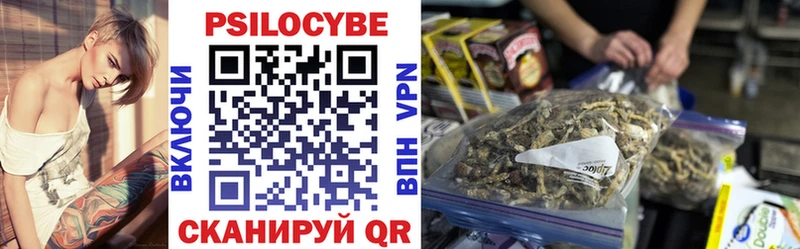 Псилоцибиновые грибы Cubensis  OMG   Дмитров 